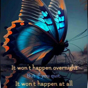 EVERYTHING